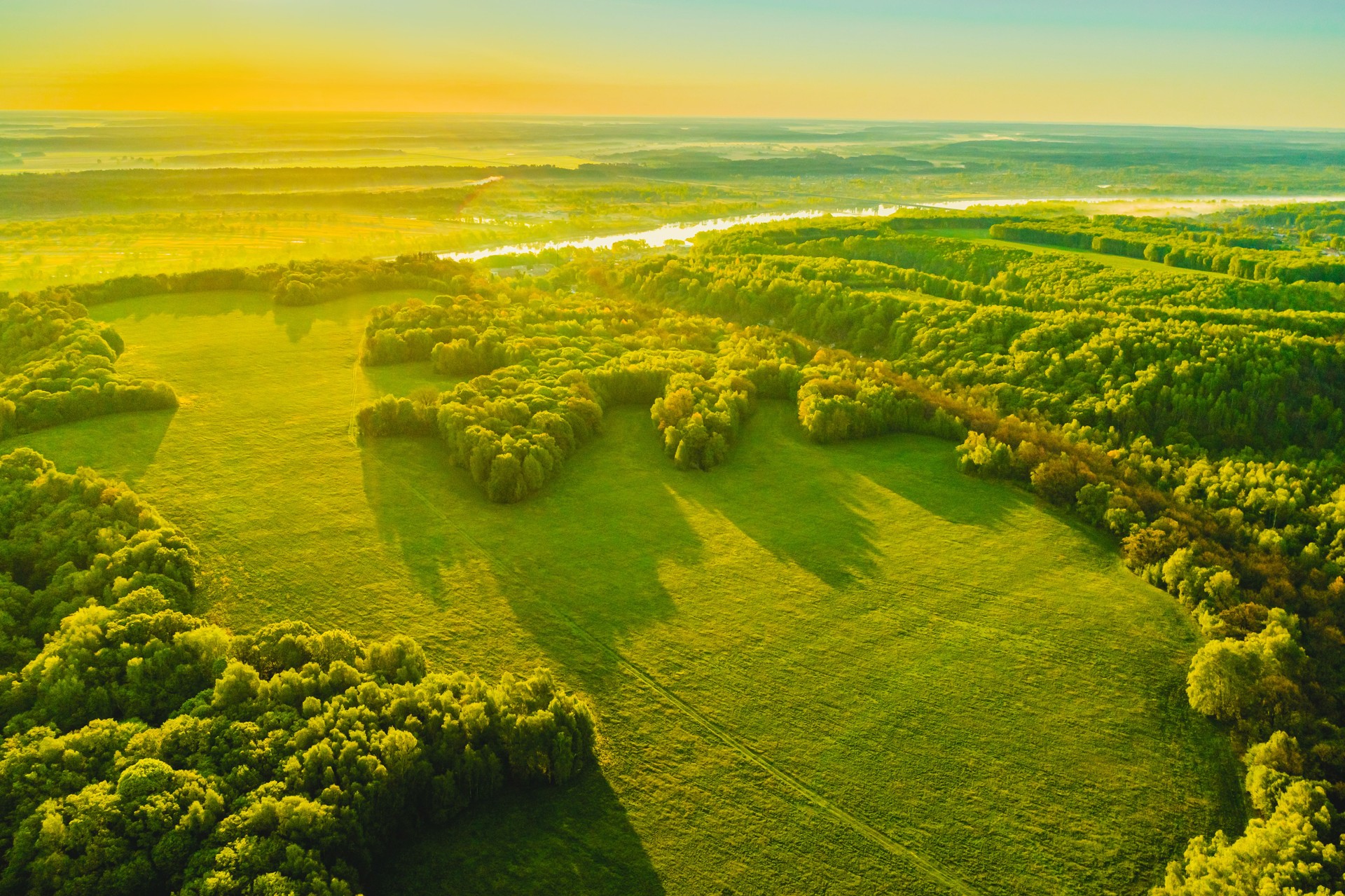 Sustainable resources background. Forest aerial view. Drone photography. Spring. Sustainability.